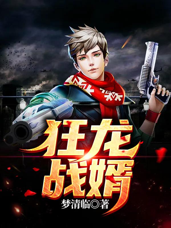 主人公阎龙北战叶尘苏小萍小说狂龙战婿在线全文阅读