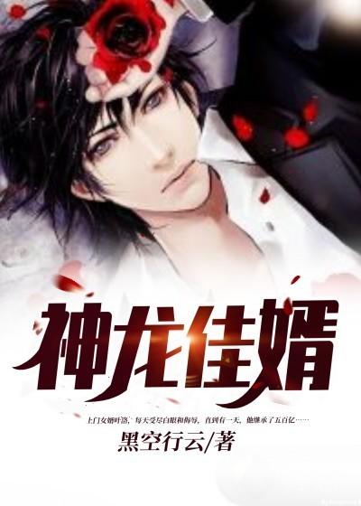 已完结小说《神龙佳婿》全文免费阅读