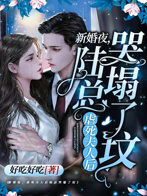 陆北骁林渺小说《新婚夜，虐死夫人后陆总哭塌了坟》在线阅读