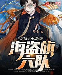 已完结小说《海盗旗六队》在线全文阅读