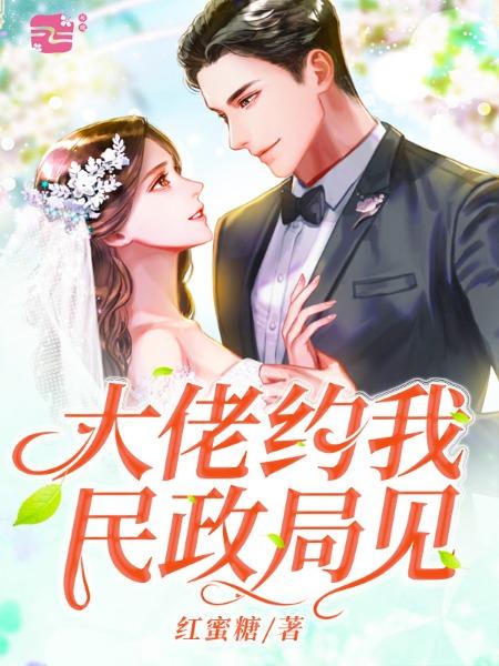 已完结小说《大佬约我民政局见》全章节在线阅读