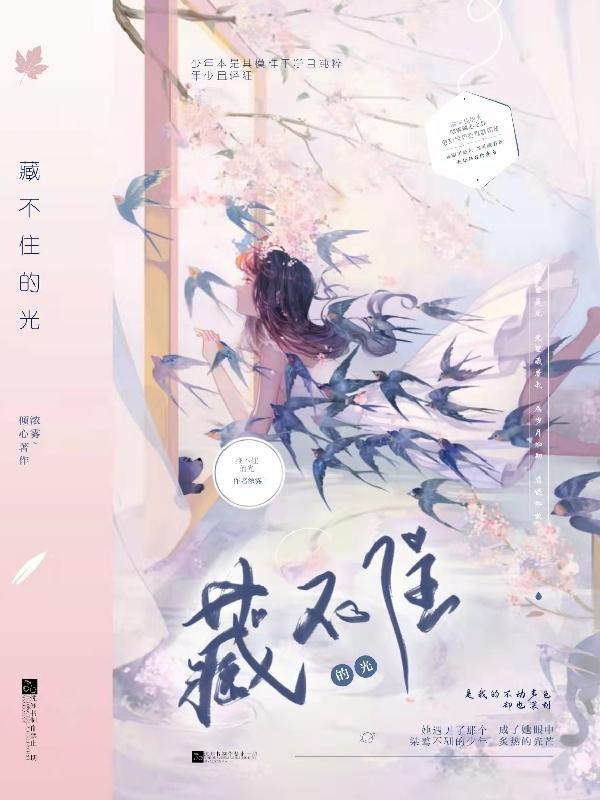 完整版《藏不住的光》txt下载