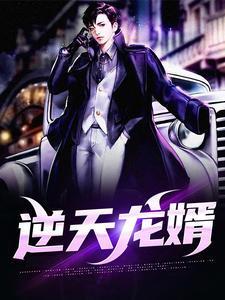 完整版《逆天龙婿》章节目录在线阅读