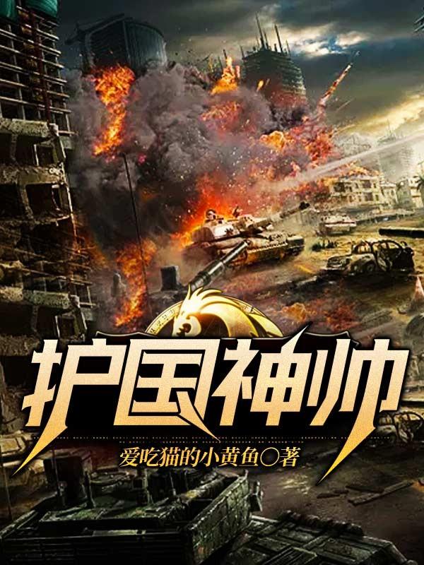护国神帅小说完整版全文免费阅读-经典文学