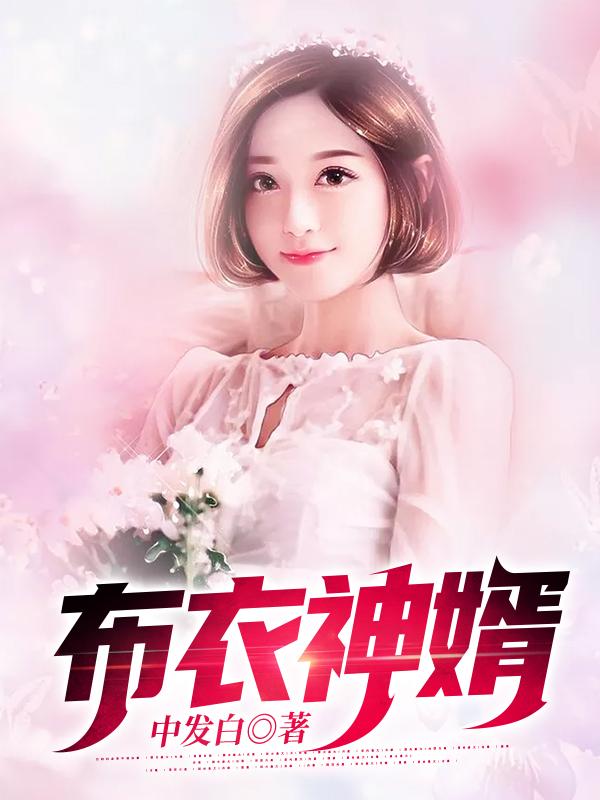 布衣神婿（康大鹏陈雅奸商）在线免费阅读-优文网