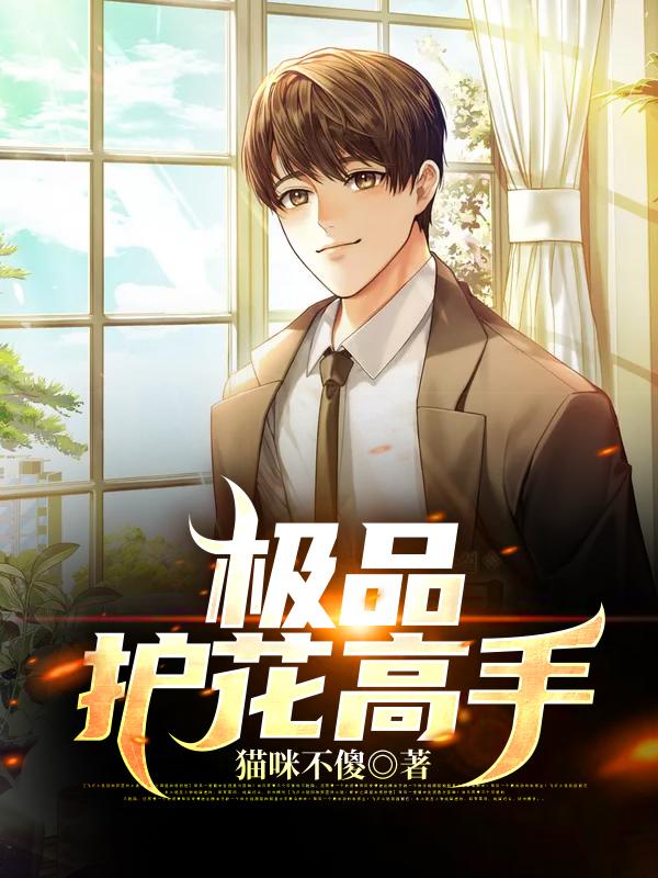 极品护花高手江文浩苏映雪小说免费阅读