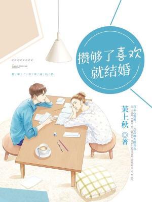 攒够了喜欢就结婚全章节免费在线阅读，沈蕴沈沈商陆完结版-经典文学