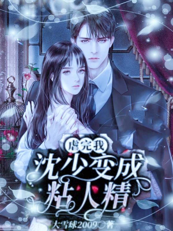 虐完我，沈少变成粘人精大雪球2009，虐完我，沈少变成粘人精小说免费阅读-瑞奇文学