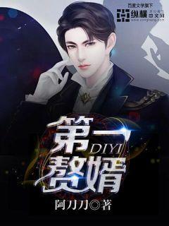 完整版《第一赘婿》章节目录在线阅读-经典文学
