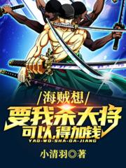 求海贼：想要我杀大将可以，得加钱小说免费资源