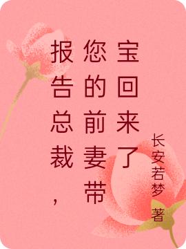 报告总裁，您的前妻带宝回来了长安若梦，报告总裁，您的前妻带宝回来了小说免费阅读