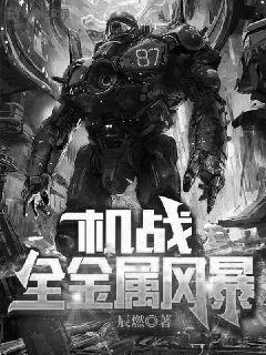 机战：全金属风暴小说，机战：全金属风暴全文在线阅读