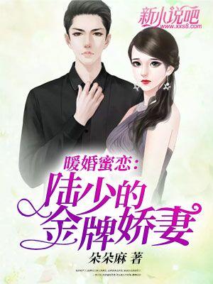 暖婚蜜恋：陆少的金牌娇妻免费阅读，暖婚蜜恋：陆少的金牌娇妻全文在线阅读