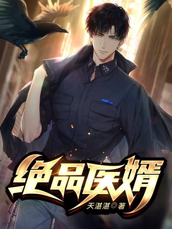 完整版《绝品医婿》txt下载