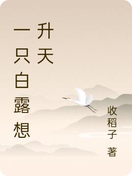 求苏白露萧瑞安小说免费资源