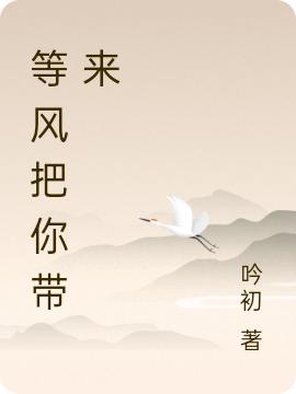 等风把你带来最新章节，等风把你带来免费阅读