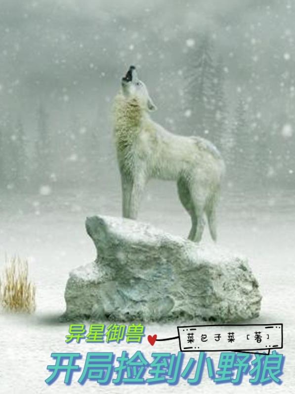 求异星御兽：开局捡到小野狼小说免费资源