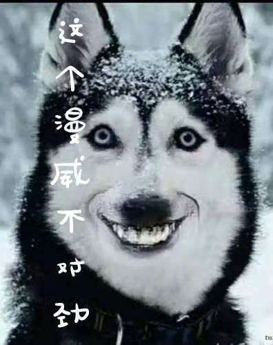 植廷晓小说在哪里可以看