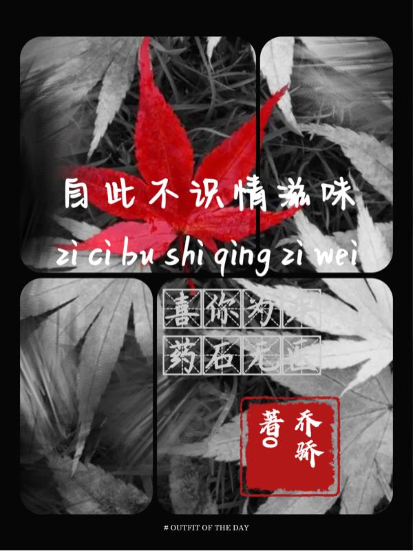 求自此不識情滋味小說免費資源