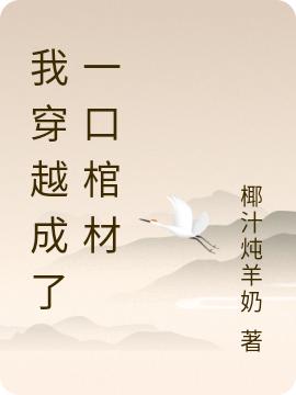 完整版《我穿越成了一口棺材》txt下载