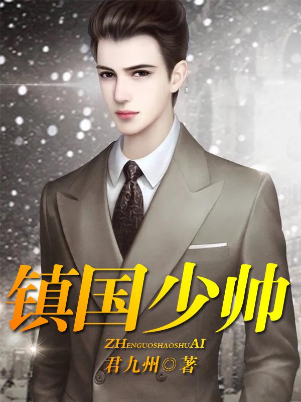 镇国少帅最新章节，镇国少帅免费阅读-牛皮文学