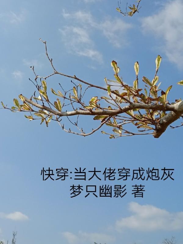 快穿，当大佬穿成炮灰（林枢）在线免费阅读