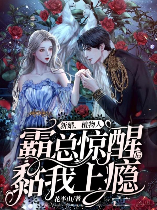 求盛淮州沈自清小说免费资源