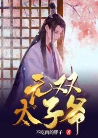 小说《无双太子爷》全文免费阅读