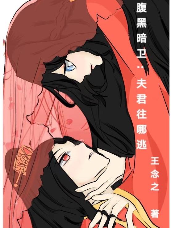 求腹黑暗卫：夫君往哪逃小说免费资源