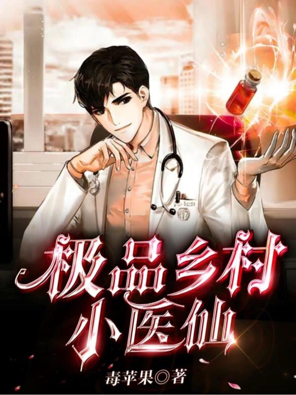 求极品乡村小医仙小说免费资源