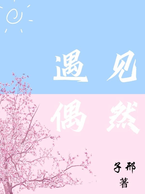 黎沁付辞小说《遇见偶然》在线阅读