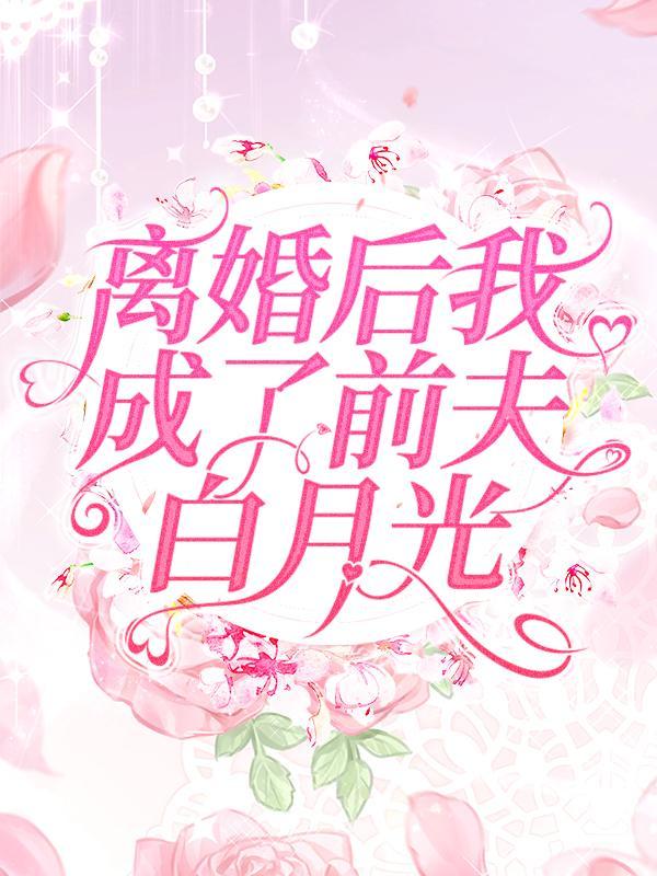 主角叫宋婉清陆铭陶妍宋靳小说（离婚后我成了前夫白月光全文免费阅读）