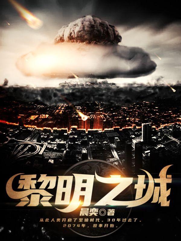 求黎明之城小说免费资源