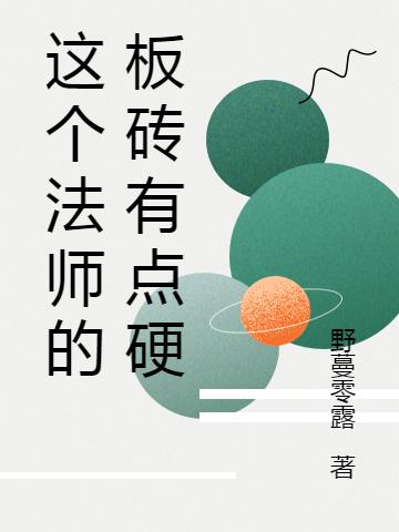 完整版《这个法师的板砖有点硬》txt下载