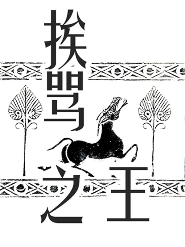挨骂之王二傻子阿呆小说免费阅读