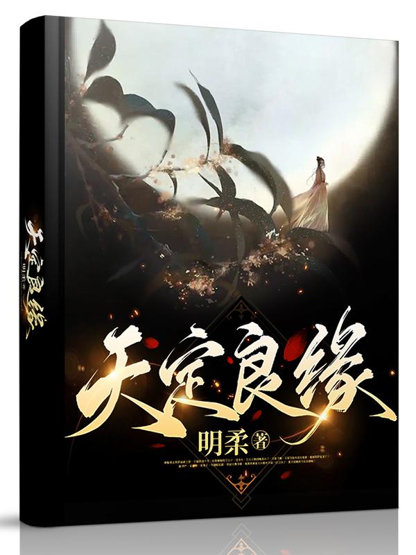 唐梅柔陆华严小说在哪里可以看
