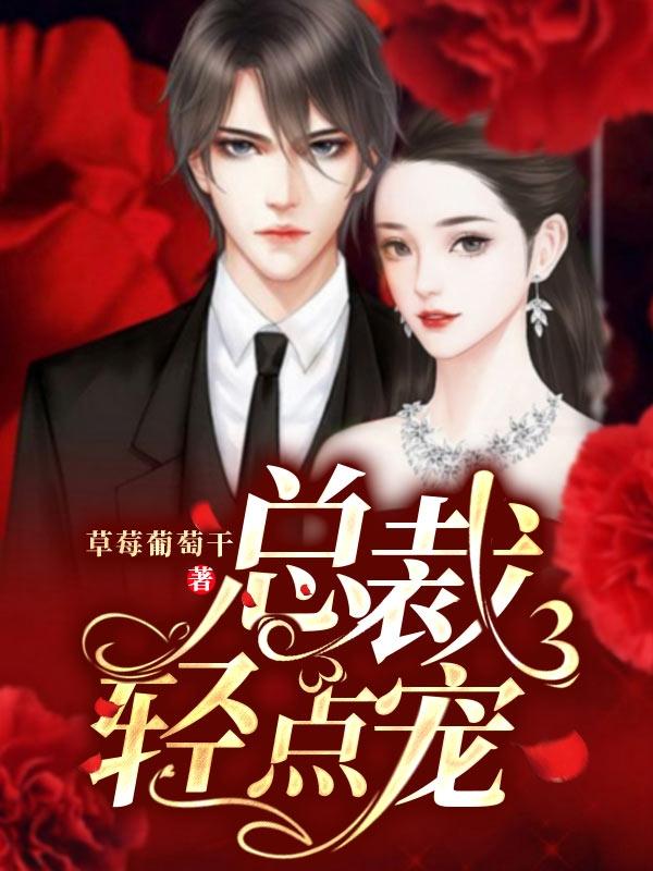 求总裁，轻点宠小说免费资源