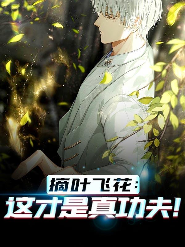 摘叶飞花：这才是真功夫！全文免费阅读，摘叶飞花：这才是真功夫！无弹窗在线阅读-优文网