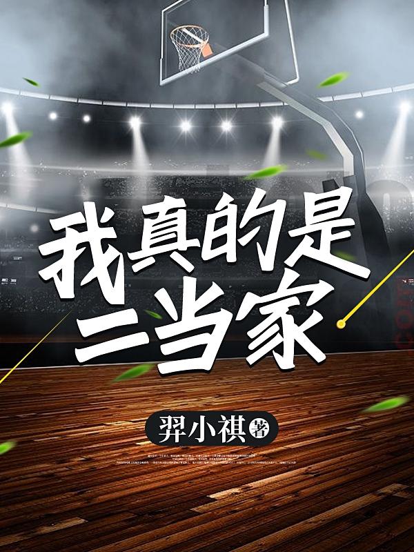 小说《我真的是二当家》全文免费阅读