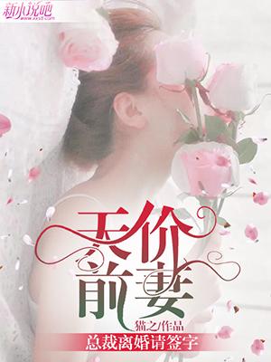 已完结小说《天价前妻：总裁离婚请签字》在线全文阅读