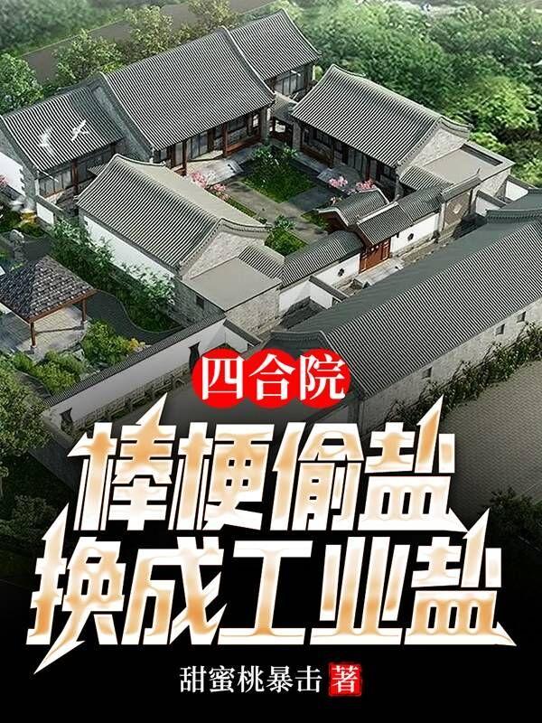 林风棒梗小说《四合院：棒梗偷盐，换成工业盐》在线阅读