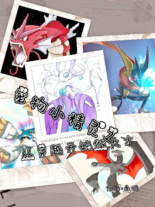 求宠物小精灵之从穿越开始做天才小说免费资源