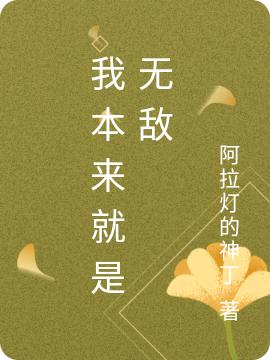 我本来就是无敌阿拉灯的神丁，我本来就是无敌小说免费阅读-优文网