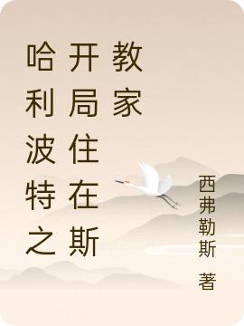 西弗勒斯小说在哪里可以看