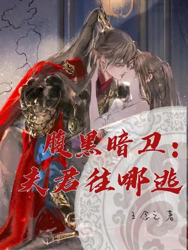 腹黑暗卫：夫君往哪逃王念之，腹黑暗卫：夫君往哪逃小说免费阅读