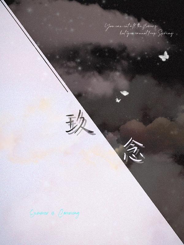 邹念苏回玖小说《玖念》在线阅读