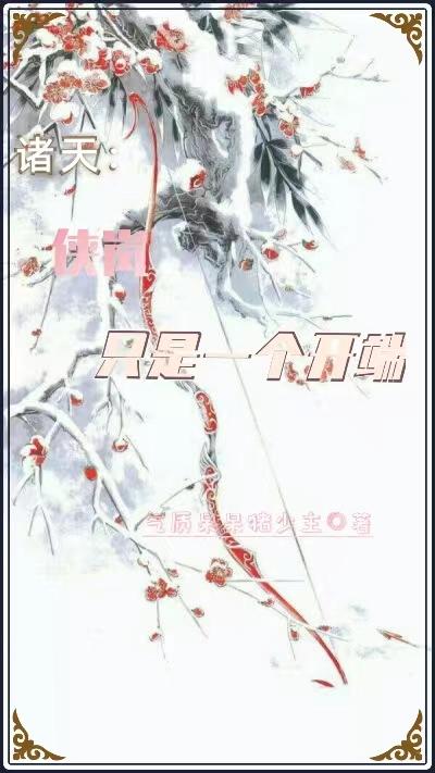 诸天：侠岚只是一个开端气质呆呆猪少主，诸天：侠岚只是一个开端小说免费阅读