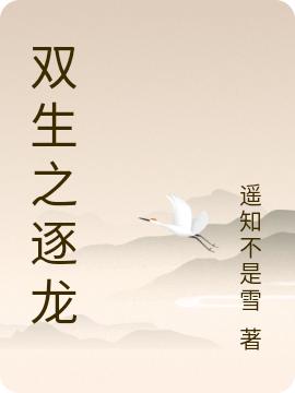 叶不凡孟子莫小说《双生之逐龙》在线阅读