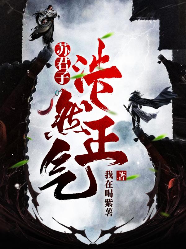求浩然正气苏君子小说免费资源