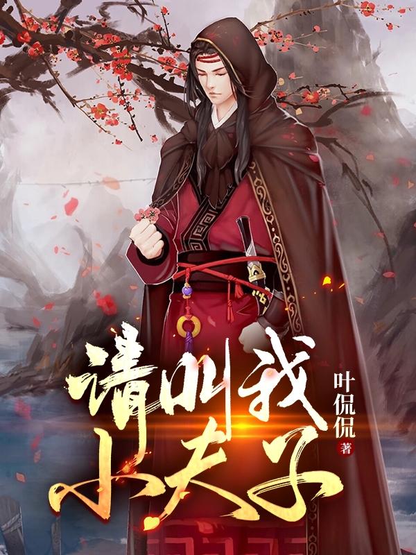 请叫我小夫子叶侃侃，请叫我小夫子小说免费阅读